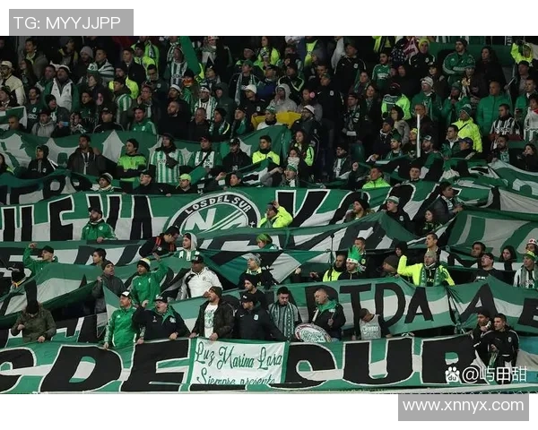 绿军与热火激战12年回顾球迷心中的经典对决与传奇时刻