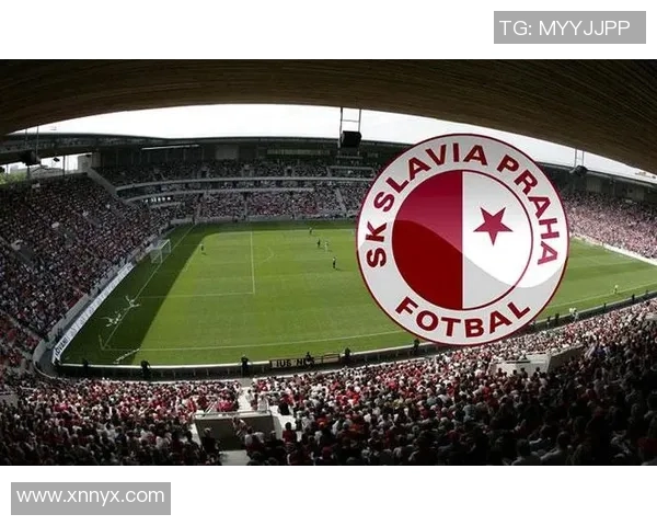 中国对捷克足球赛盘口分析及投注建议详解