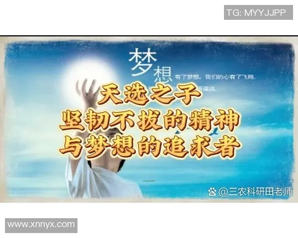 张宁的奋斗历程与成功秘诀揭示了新时代青年应如何把握机遇实现梦想 张宁的奋斗历程与成功秘诀揭示了新时代青年应如何把握机遇实现梦想