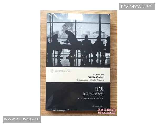 探索谢什科的历史与文化魅力，揭示其在当代社会中的重要性与影响力