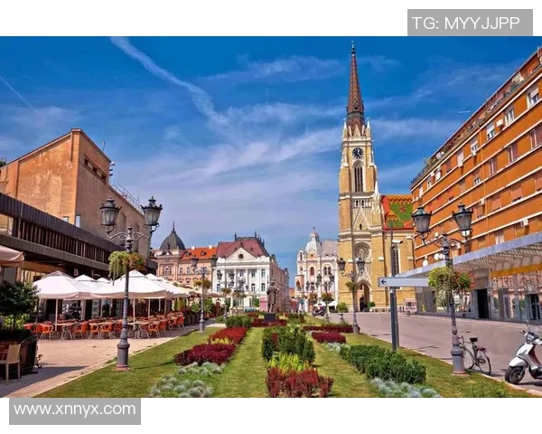 日本直播与免费视频的全面对比与选择指南