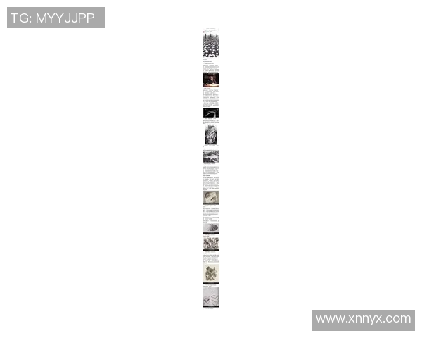 探索索博斯洛伊的历史与文化魅力揭示其在现代社会的独特价值与影响