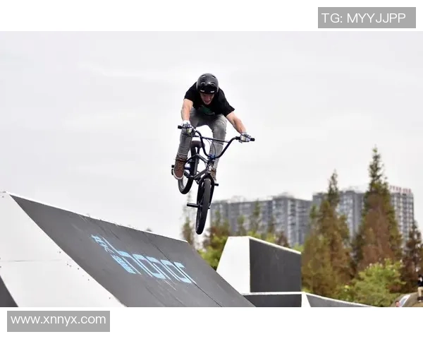 成都极限运动队灵活性研究与实践探索的前沿动态分析MBA