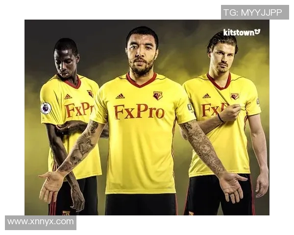 纽波特与沃特福德激战正酣谁将赢得这场精彩对决