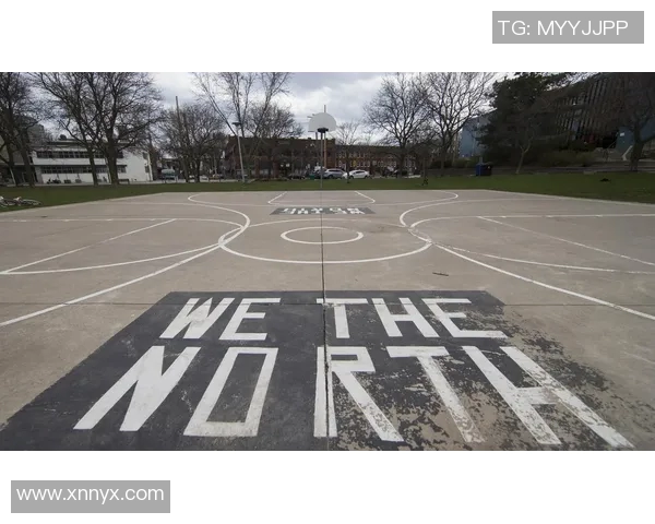 篮球明星豪宅揭秘球场之外的奢华生活与独特设计风格