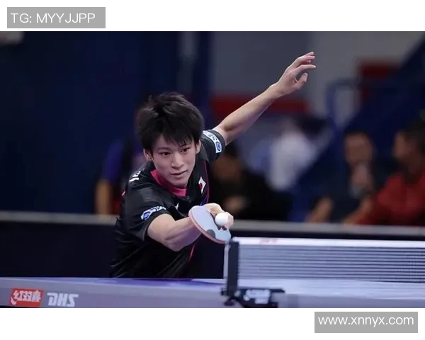 南京网球队实力对比深度解析各队优势与短板全面解读